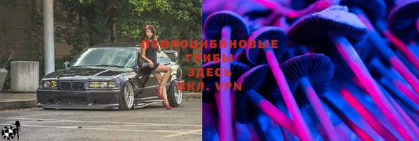 мет Арсеньев