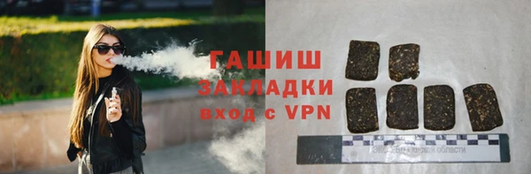 гашик Алексин