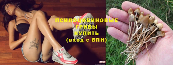 мет Арсеньев