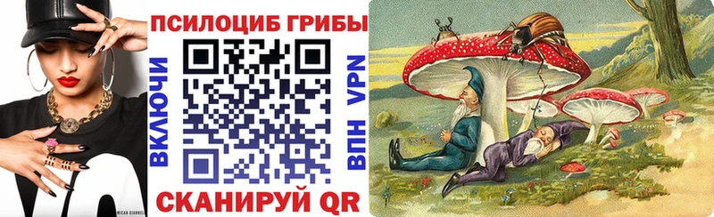нарко площадка как зайти  Куровское  Галлюциногенные грибы GOLDEN TEACHER 